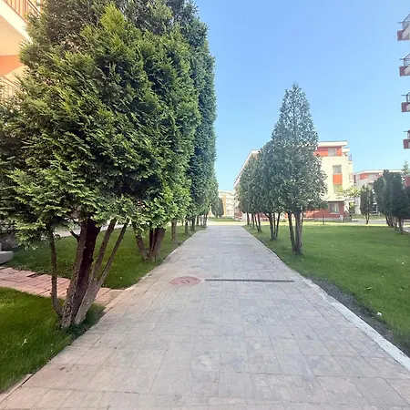 Noks النايت